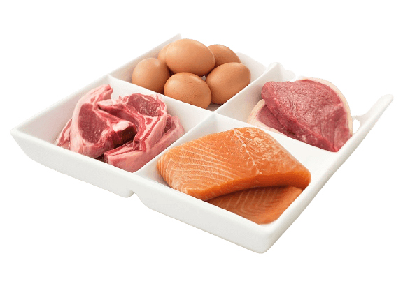  foods help in adding protein for muscle gain
