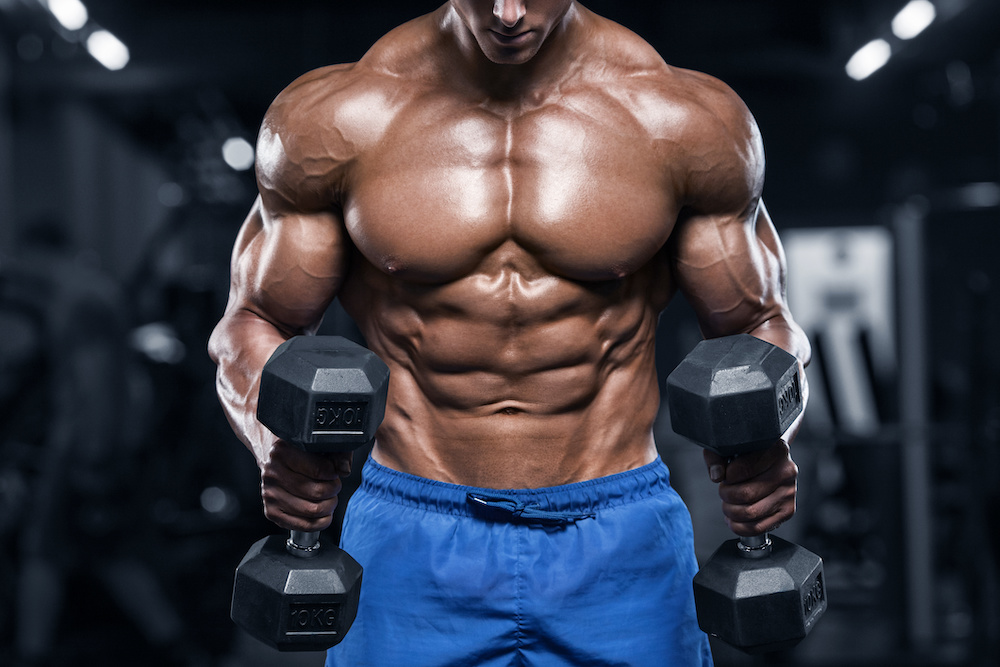 Which Is The Best Body Building Supplement In 2021
