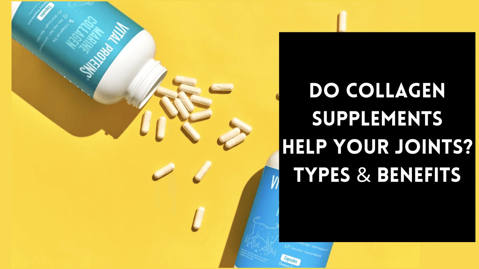 Collagen Supplements Help Your Joints (1)