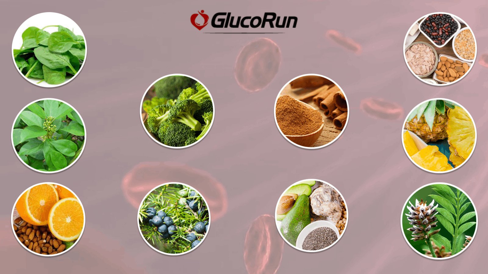 GlucoRun Ingredients