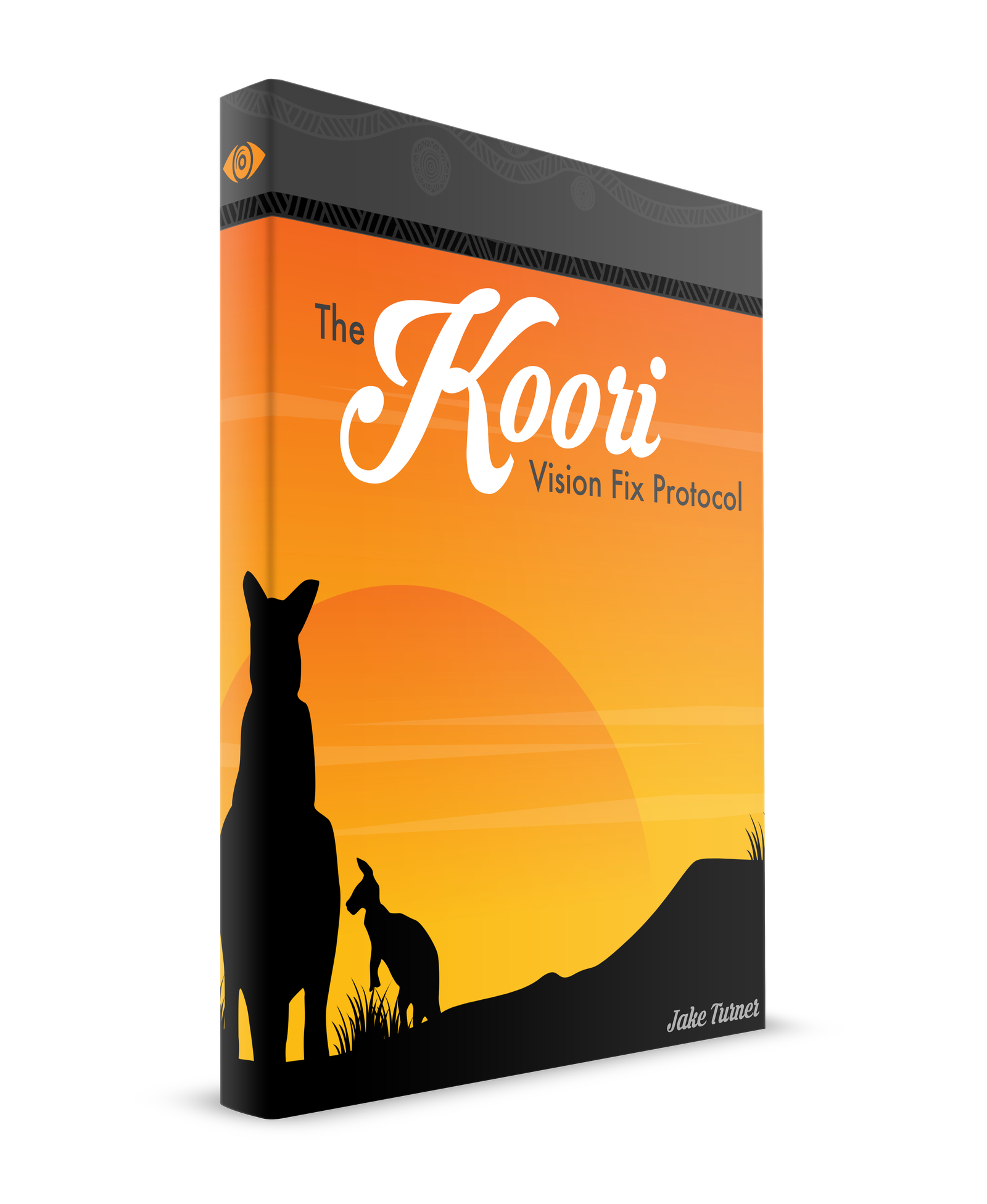 Koori Vision Fix Protocol Reviews
