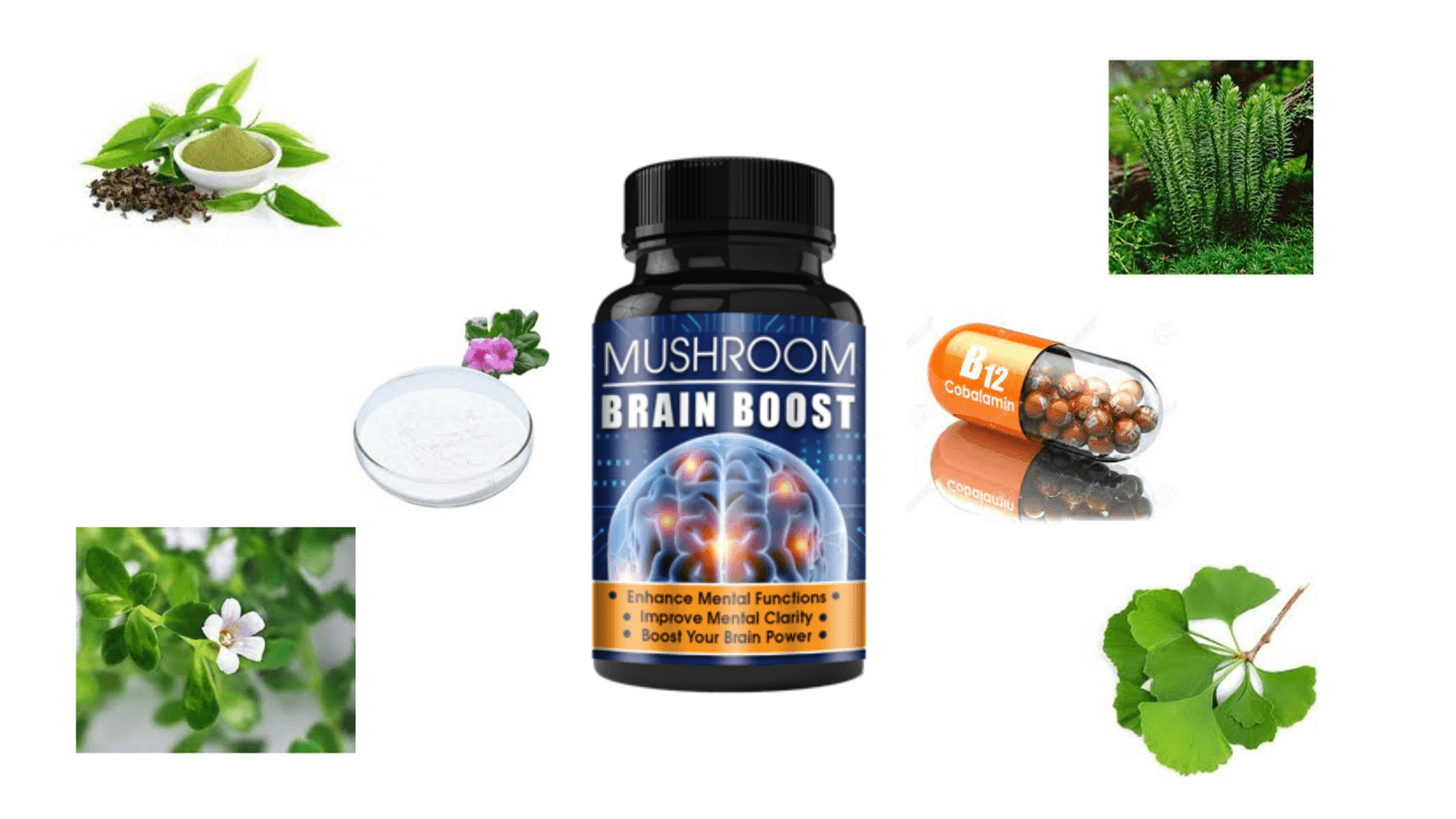 Mushroom Brain Boost Ingredients